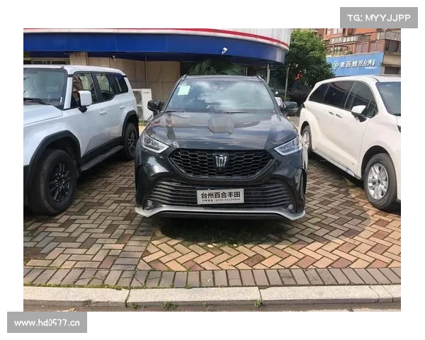 丰田皇冠陆放手机APP解锁功能区别对待