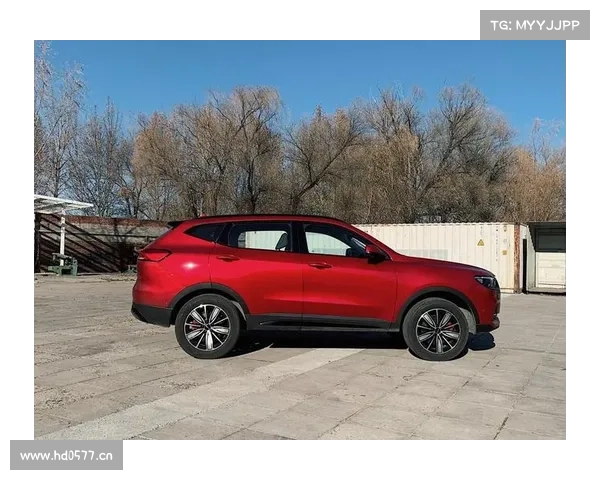 全新哈弗H6采用了双色设计,整体看上去更加的年轻